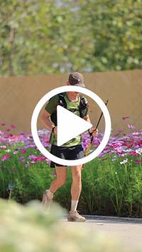 BIB:  <button type="button" onclick="openModal(27585399)" class="btn btn-primary btn-sm float-right" data-toggle="modal" data-target=".modal-high-quality">
                <i class="fa fa-download"></i> Download
                </button>